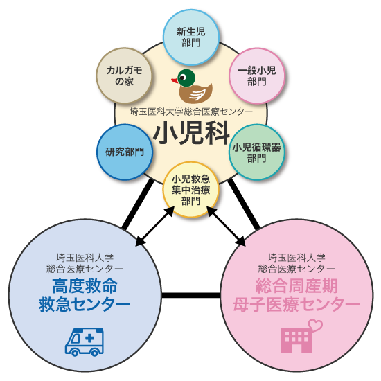 埼玉医科大学総合医療センター小児科組織図