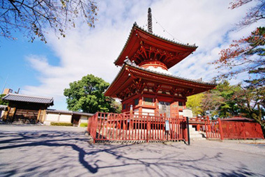 川越 喜多院